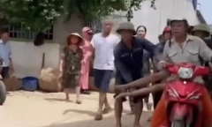Đi cắt cỏ cho cá ăn, người đàn ông ở Nghệ An bị ong đốt tử vong thương tâm