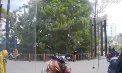 Clip: Cây bồ đề cao hơn 10 mét bật gốc, đè trúng người đi xe máy ở TP.HCM