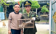 Người dân phát hiện con vật có hình thù 