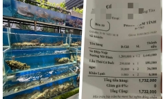 Xôn xao thông tin vụ 4 con sò điệp giá 1,4 triệu đồng tại quán ăn ở Vũng Tàu: Chủ tịch phường nói gì?