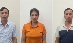 Khởi tố, bắt tạm giam Giám đốc một công ty lâm nghiệp ở Quảng Ninh
