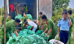 Phát hiện hơn 4 tấn 