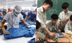 Không thích học đại học thì làm gì?