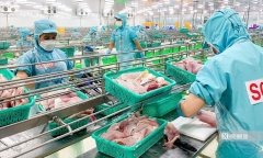 Bộ Nông nghiệp và Môi trường đặt mục tiêu 90% thủ tục được thực hiện trực tuyến