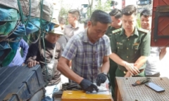 Vạch trần 