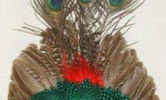 Nhộn nhịp mua sắm tại phố Hàng Mã trước thềm Halloween