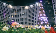 Chiêm ngưỡng những cây thông Noel độc đáo nhất ở Hà Nội