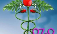 Tổng Bí thư Tô Lâm: Tập trung tháo gỡ khó khăn, rào cản, nút thắt để ngành y tế vươn dậy