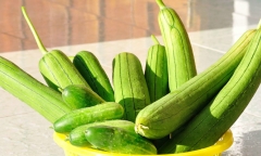 Những món ăn từ mướp hương vừa dễ ăn mà lại giúp giảm cân hiệu quả