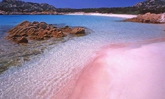 Du khách sẽ bị xử phạt nếu đặt chân lên bãi cát hồng nổi tiếng của Spiaggia Rosa