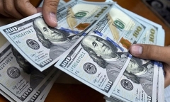 Tỷ giá USD hôm nay 15/12: Đồng xanh tụt dốc không phanh