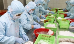 Thưởng Tết ở Cần Thơ: Mức bình quân chỉ hơn 2 triệu đồng, cao nhất bằng một nửa năm ngoái
