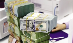 Tỷ giá USD hôm nay 29/12: Đồng xanh trở lại mốc 101