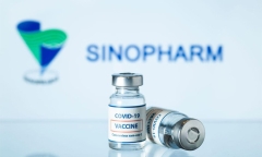 Hải Phòng đề nghị mượn TP.HCM 500.000 liều vaccine Sinopharm