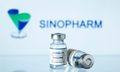 Hải Phòng muốn mượn thêm vaccine Vero Cell của TP.HCM