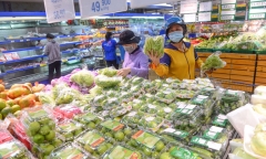 TP.HCM tính toán trở về