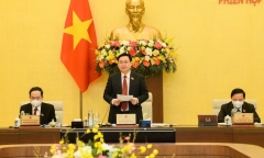 Nghị quyết của UBTVQH về công tác cán bộ