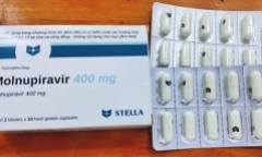 Bộ Y tế yêu cầu Hà Nội thanh tra việc bán thuốc Molnupiravir điều trị COVID-19