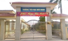 Vụ 3 học sinh tiểu học bị đánh tím người ở Hải Phòng: Sở GD&ĐT nhận trách nhiệm