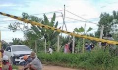 Vụ ô tô tông 3 người thương vong ở Bình Định: Tạm giữ tài xế 29 tuổi