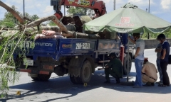 Tin tức tai nạn giao thông mới ngày 18/9: Nữ sinh bị xe tải tông tử vong trên đường đi nhập học