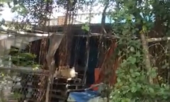 Nghi án con trai chém chết mẹ già 78 tuổi: Công an hé lộ nguyên nhân