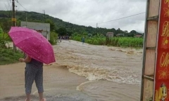 Vụ người đàn ông tử vong trên cánh đồng: Xác định nguyên nhân