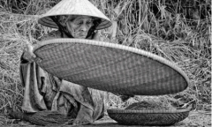 Mùa về trên tay mẹ