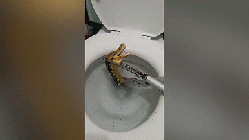 Video: Con vật màu vàng bất ngờ xuất hiện trong bồn cầu khiến cô gái hoảng hồn