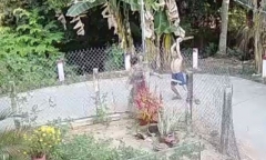 Bắt khẩn cấp kẻ đánh tử vong người phụ nữ ở Tiền Giang