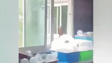 Video: Mở tung cửa sổ đón ánh mặt trời, người phụ nữ hãi hùng vì sự xuất hiện của 