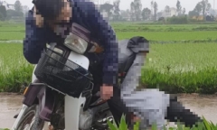 Trên đường đi ra nghĩa trang, phát hiện 2 người đàn ông tử vong trên xe máy