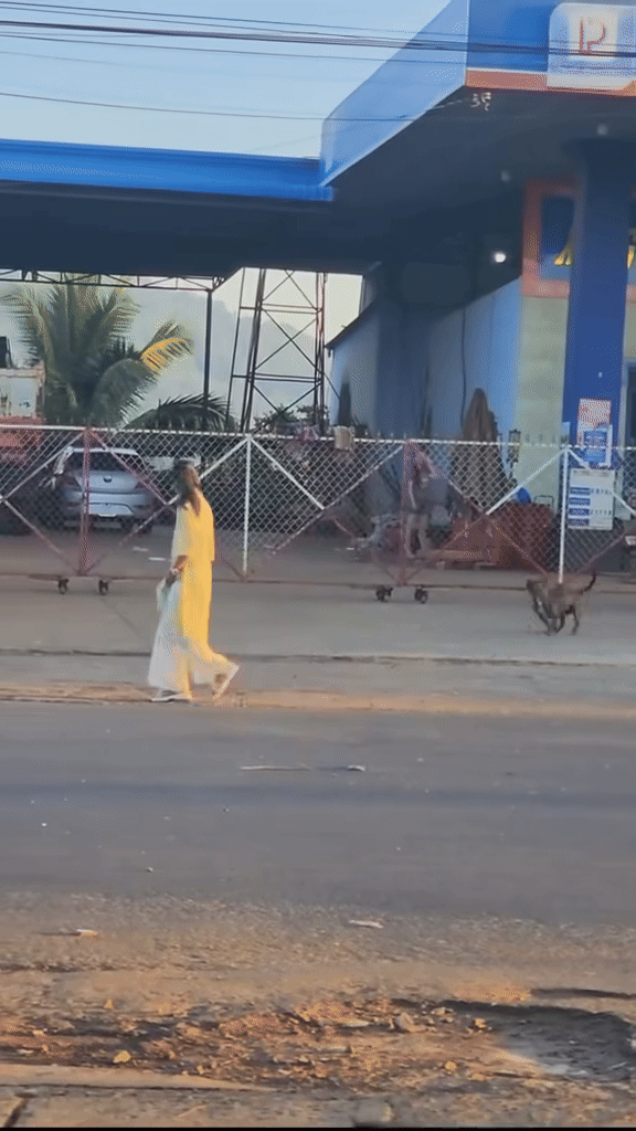 Video: Thích cái cách mà cô gái phản ứng khi bị chó đuổi