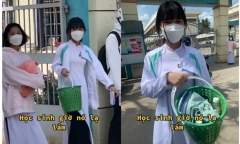 Đu trend 