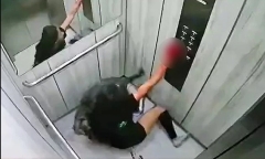 Bị chó cưng lao vào cắn xé dữ dội, cô gái may mắn thoát chết nhờ một hành động