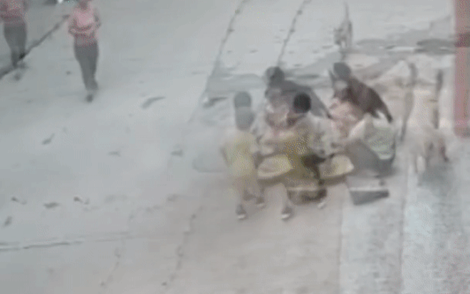 Clip chó hoang lao vào tấn công bé trai và màn