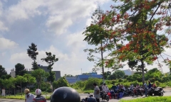 Vụ thi thể thanh niên trong khu dân cư Hoàng Long: Chiếc xe máy đỏ bí ẩn ở hiện trường
