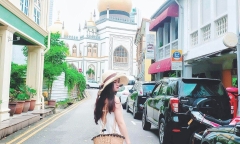 Vỏ bọc sang chảnh của 