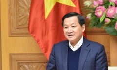 Quyết định của Thủ tướng Chính phủ về tổ chức, nhân sự
