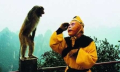 Tây Du Ký: Bất ngờ về loại võ công được Tôn Ngộ Không dùng khi đại náo Thiên cung