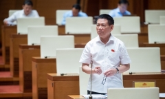 Cử tri 