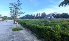 Huế sắp đưa lô 