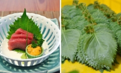 Loại rau thơm giá rẻ, bán đầy ngoài chợ nhưng 