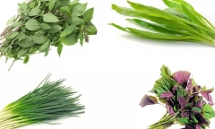 Loại rau ăn kèm với mọi món ăn,