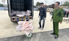 Ngăn chặn 7 tạ nầm “bẩn”, bốc mùi chuẩn bị tuồn vào các nhà hàng