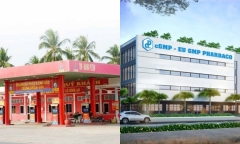 Thấy gì từ các khoản phải thu liên quan tới Hải Hà Petro tại Pharbaco?