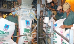 Đạm Phú Mỹ (DPM) năm 2023: Bức tranh kinh doanh xám xịt, lợi nhuận sau thuế  “bốc hơi” 90%