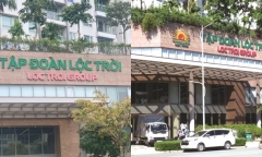 Tập đoàn Lộc Trời (LTG): Vay nợ tăng cao, lãi sau thuế cả năm 2023 sụt giảm hơn 35%