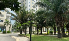 Sống xanh ở khu dân cư An Sương