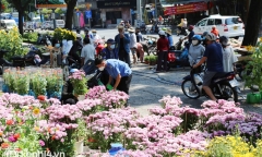 Trưa 29 Tết, hoa rẻ ngang mớ rau, tiểu thương bán đổ bán tháo để về nhà